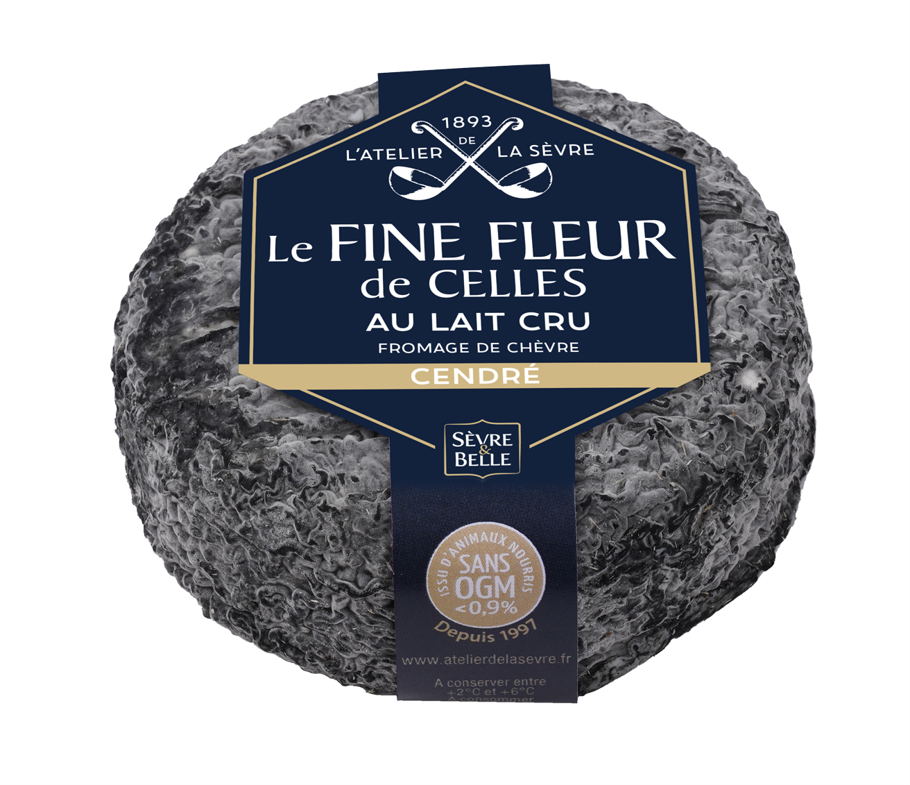 FINE FLEUR CENDREE